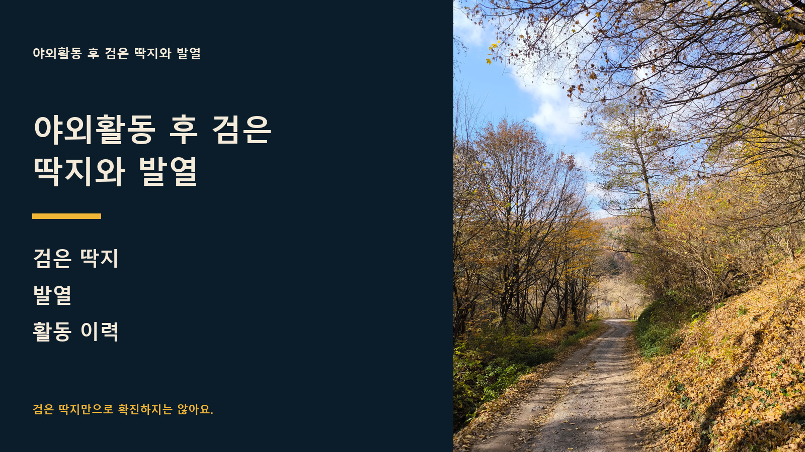 야외활동 후 검은 딱지와 발열